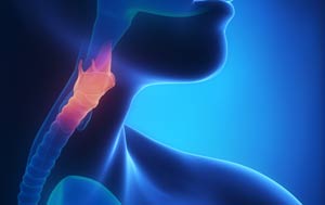 Хирургия голосовых связок, нарушений дыхательных путей и глотания 