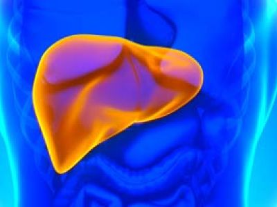 Разработан новый препарат для эффективного лечения рака печени