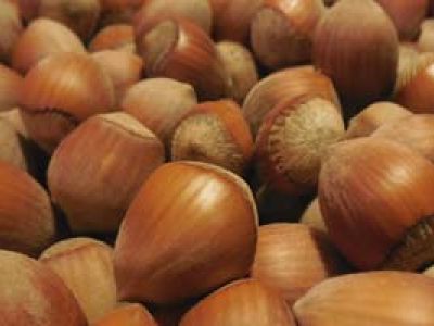 Регулярное употребление орехов снижает риск возникновения мерцательной аритмии