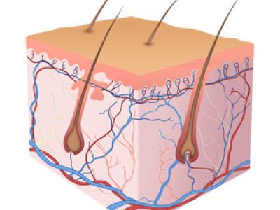 Ученые впервые пересадили ребенку генетически модифицированную кожную ткань