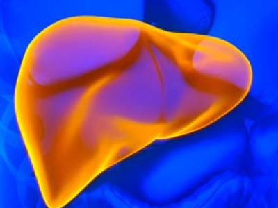 Гепатит С: эпидемиология и группы риска в Израиле