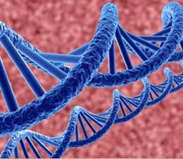 Новый метод генной модификации может усовершенствовать лечение рака и инфекционных заболеваний