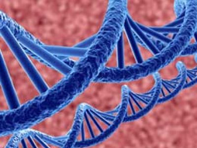 Новый метод генной модификации может усовершенствовать лечение рака и инфекционных заболеваний